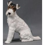 Rosenthal Porzellan, Foxterrier, Hund. Modell - Nr. 124315 cm hoch. Grüne Rosenthal