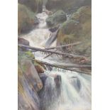 Karl Hans TAEGER (1856 - 1937). Wasserfall.57 cm x 37,5 cm. Gemälde. Gouache auf starkem Papier.
