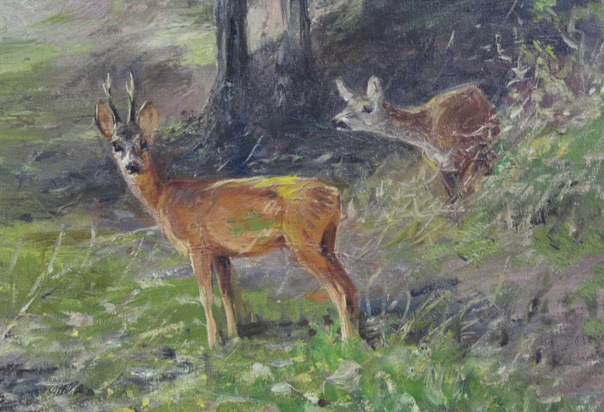 Willy LORENZ (1901 -1981). Rehwild im Sommerwald.60 cm x 70 cm. Gemälde. Öl auf Leinwand. Rechts - Image 4 of 7