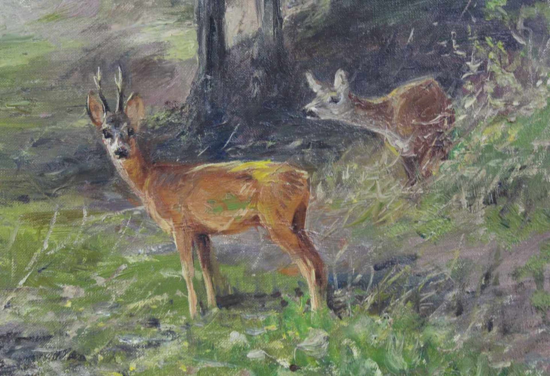 Willy LORENZ (1901 -1981). Rehwild im Sommerwald.60 cm x 70 cm. Gemälde. Öl auf Leinwand. Rechts - Bild 4 aus 7