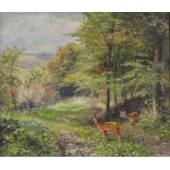 Willy LORENZ (1901 -1981). Rehwild im Sommerwald.60 cm x 70 cm. Gemälde. Öl auf Leinwand. Rechts