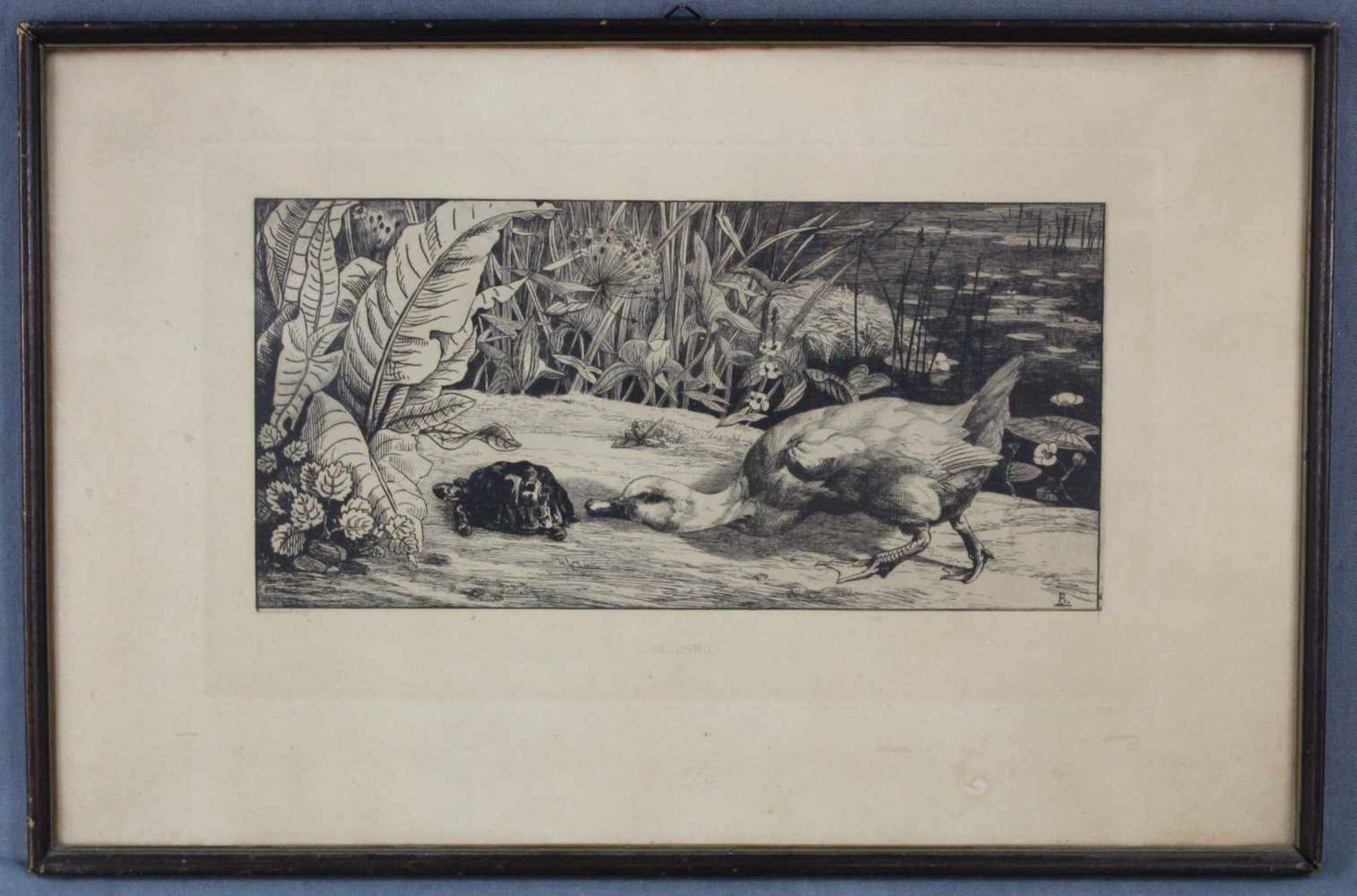Félix BRACQUEMOND (1833 - 1914). L'Inconnu.31,5 x 18,5 cm. Radierung. Ente und Schildkröte. In der - Image 2 of 7