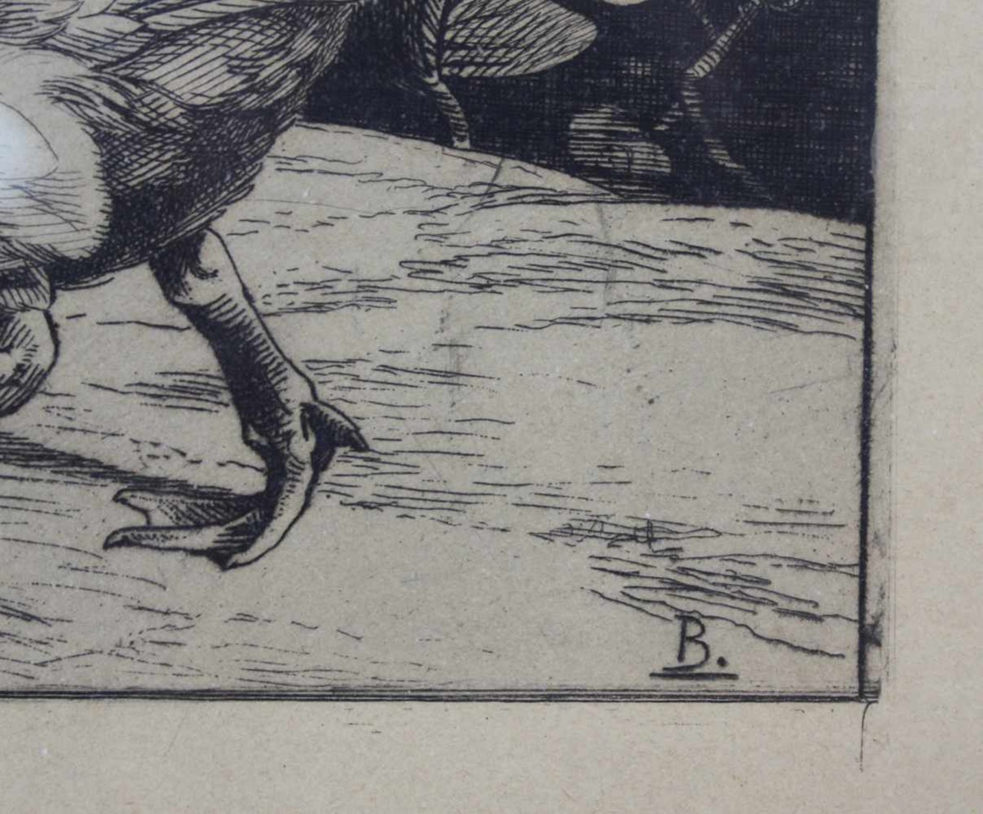 Félix BRACQUEMOND (1833 - 1914). L'Inconnu.31,5 x 18,5 cm. Radierung. Ente und Schildkröte. In der - Image 3 of 7