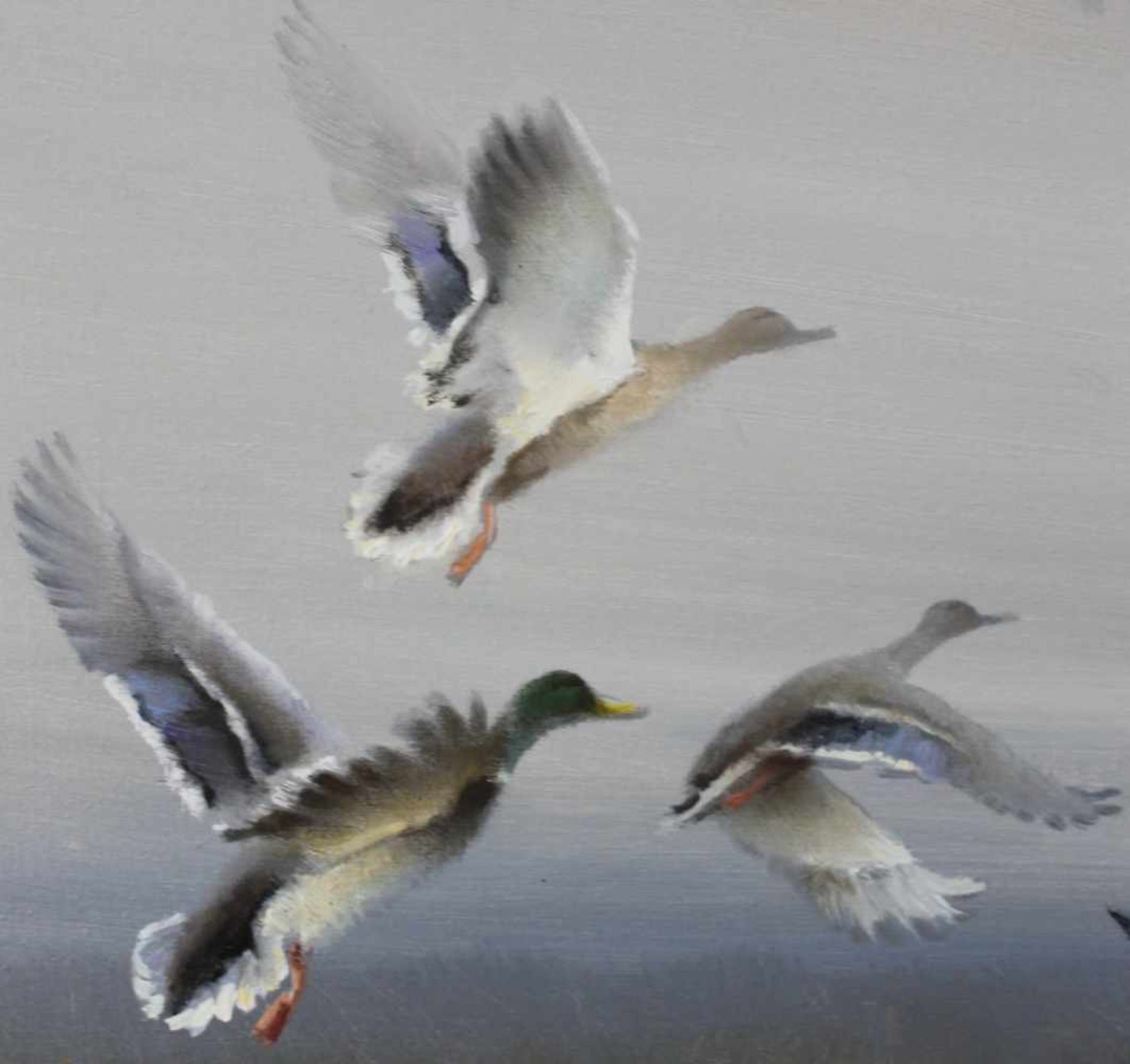 Arnold SCHATZ (1929 - c.1999). "Aufsteigende Enten"80 cm x 70 cm. Gemälde. Öl auf Leinwand. Rechts - Bild 5 aus 8