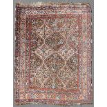 Khamseh Perserteppich. Iran. Antik, um 1900.194 cm x 161 cm. Handgeknüpft. Wolle auf Wolle. Wohl