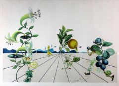 Salvador DALI (1904 - 1989). Flordali (1981).65 cm x 97 cm die Abbildung. Im Druck unten rechts