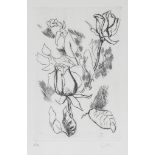 RENATO GUTTUSO (Bagheria 1912 - Rome 1987) Roses Lithograph, ex. P.To. Measures of the plate, cm. 24