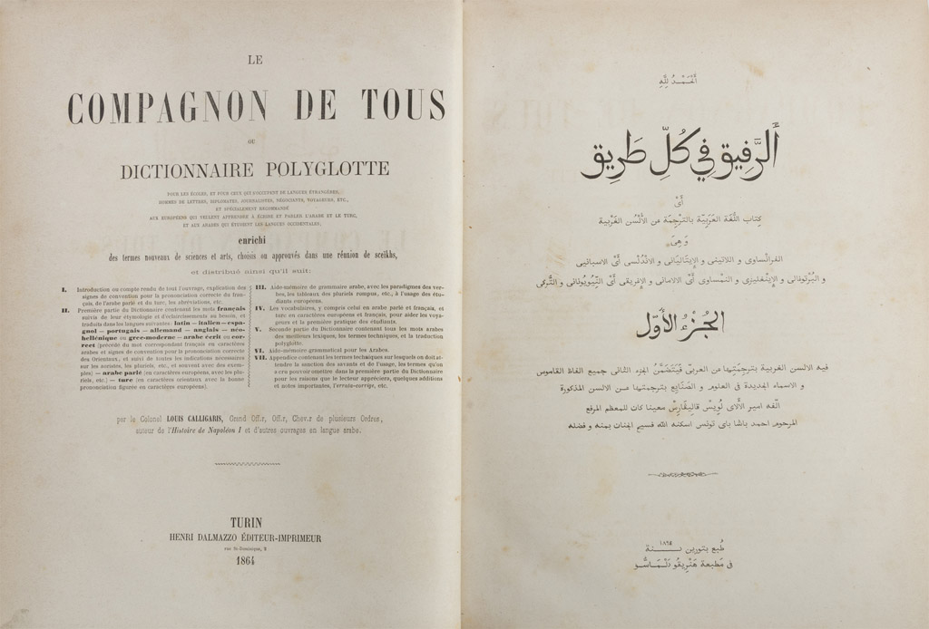 DICTIONARIES Compagnons de Tous. Two volumes. Ed. Turin nineteenth century. Half leather with