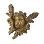 SCULPTURE OF HEAD OF CHERUB IN GILTWOOD, ROME PERIODO BAROQUE with slightly inclined head and