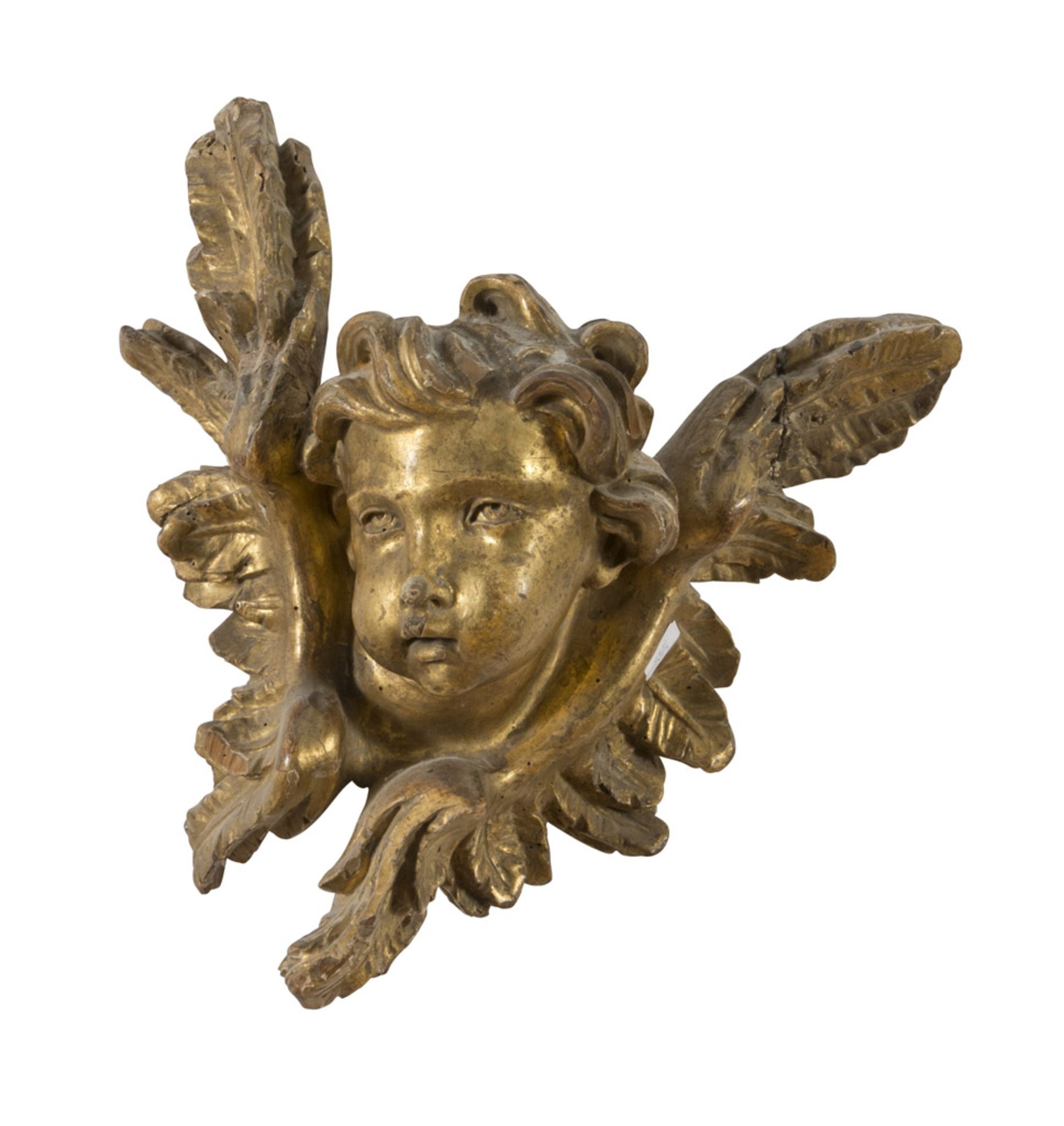 SCULPTURE OF HEAD OF CHERUB IN GILTWOOD, ROME PERIODO BAROQUE with slightly inclined head and