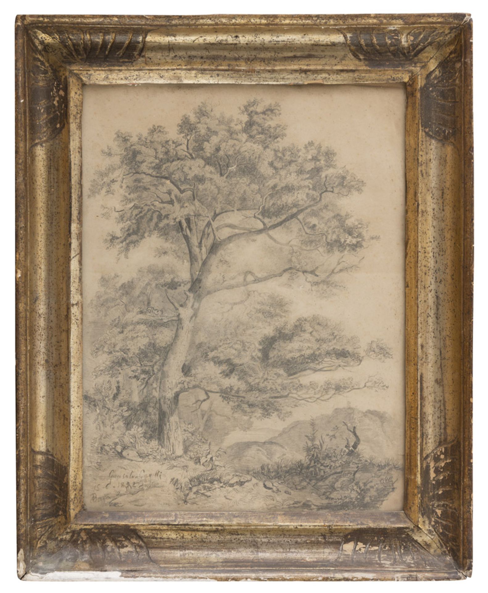 CONSALVO CARELLI (Naples 1818 - 1900) LANDSCAPE WITH BIG TREE Pencil on paper, cm. 42 x 30 Signed,