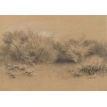ITALIAN PAINTER INIZI 20TH CENTURY LANDSCAPE WITH BUSHES Pencil on paper, cm. 21 x 28 Signed '