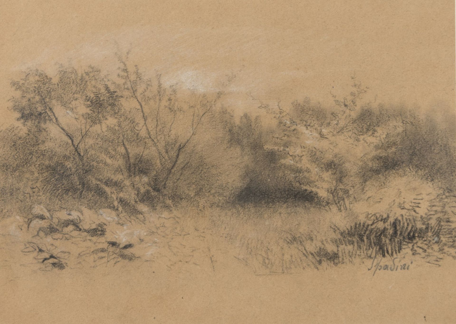 ITALIAN PAINTER INIZI 20TH CENTURY LANDSCAPE WITH BUSHES Pencil on paper, cm. 21 x 28 Signed '