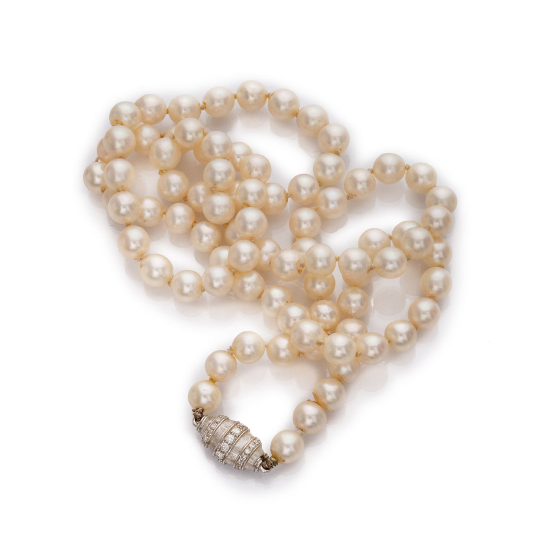 NECKLACE one thread of pearls, with clasp of oval shape in white gold 18 kts., decorated with