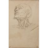 SCIPIONE TADOLINI (Rome 1822 - 1892) STUDY OF FACE STUDY OF BODY Pair of pencils on paper, cm.20 x