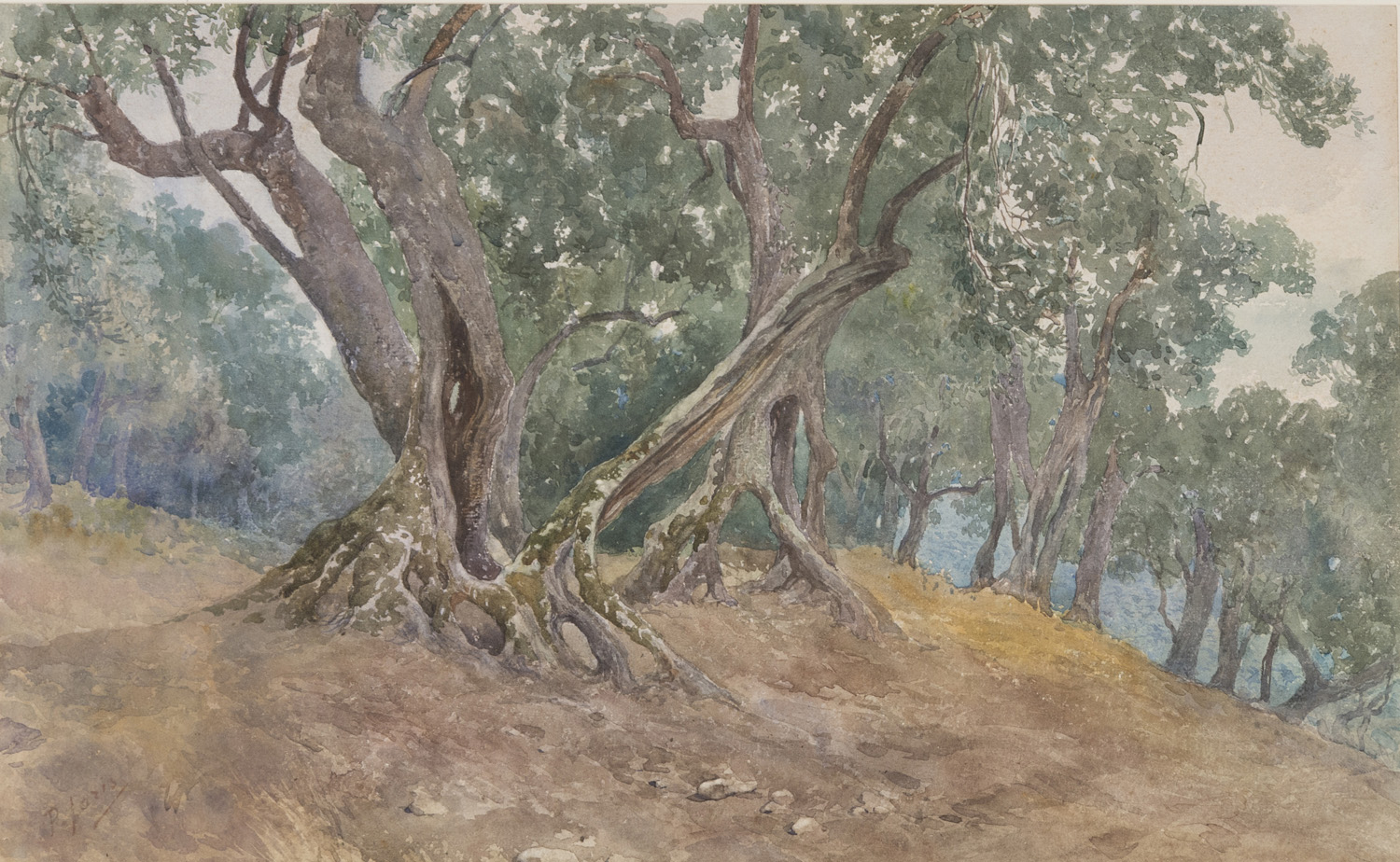 PIO JORIS (Rome 1843 - 1921) TREES Watercolour on paper, cm. 32 x 51 Signed bottom left Framed PIO