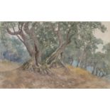 PIO JORIS (Rome 1843 - 1921) TREES Watercolour on paper, cm. 32 x 51 Signed bottom left Framed PIO