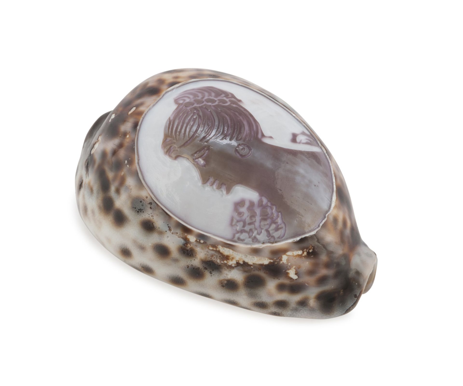 SHELL WITH ENGRAVED CAMEO, 20TH CENTURY representing profile of young woman. Measures cm. 9,2 x 6.