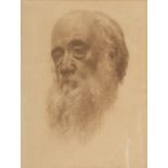 PAINTER EARLY 20TH CENTURY Head of old man Red pencil on cardboard, cm. 32 x 24 Attribution to 'A.