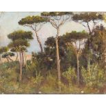 GIUSEPPE CASCIARO (Ortelle 1863 - Naples 1941) View of Naples from the Pine forest Oil on canvas,