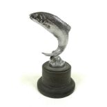 An early 20th century nickel plated car mascot in the form of a leaping salmon,