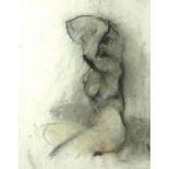 E. McMillan: a modern nude, pastel, signed lower right, 48.5 by 38.