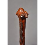 A New Caledonian hardwood war club, the head of naturalistic bulbous root form,