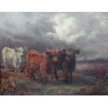 Follower of Louis Bosworth Hurt, Highland cattle, oil on canvas, 18cm x 22cm.
