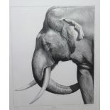 Gary Hodges (b.1954), Old Tusker, reproduction print, signed and numbered 530/850, 58cm x 46cm.