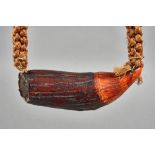 A Fijian Tabua whale tooth necklace, bound with coconut fibre, tooth 20cm.