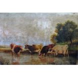 Dutch School (19th century), Cattle watering, oil on canvas, 50cm x 75cm.