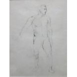 John Minton (1917-1957), Male nude, pencil, 34cm x 25.5cm.