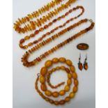 A single row necklace of mottled oval butterscotch coloured graduated amber beads,