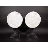 A pair of circular razor coral specimens on glass and chrome stepped bases, 21cm wide x 52cm high.