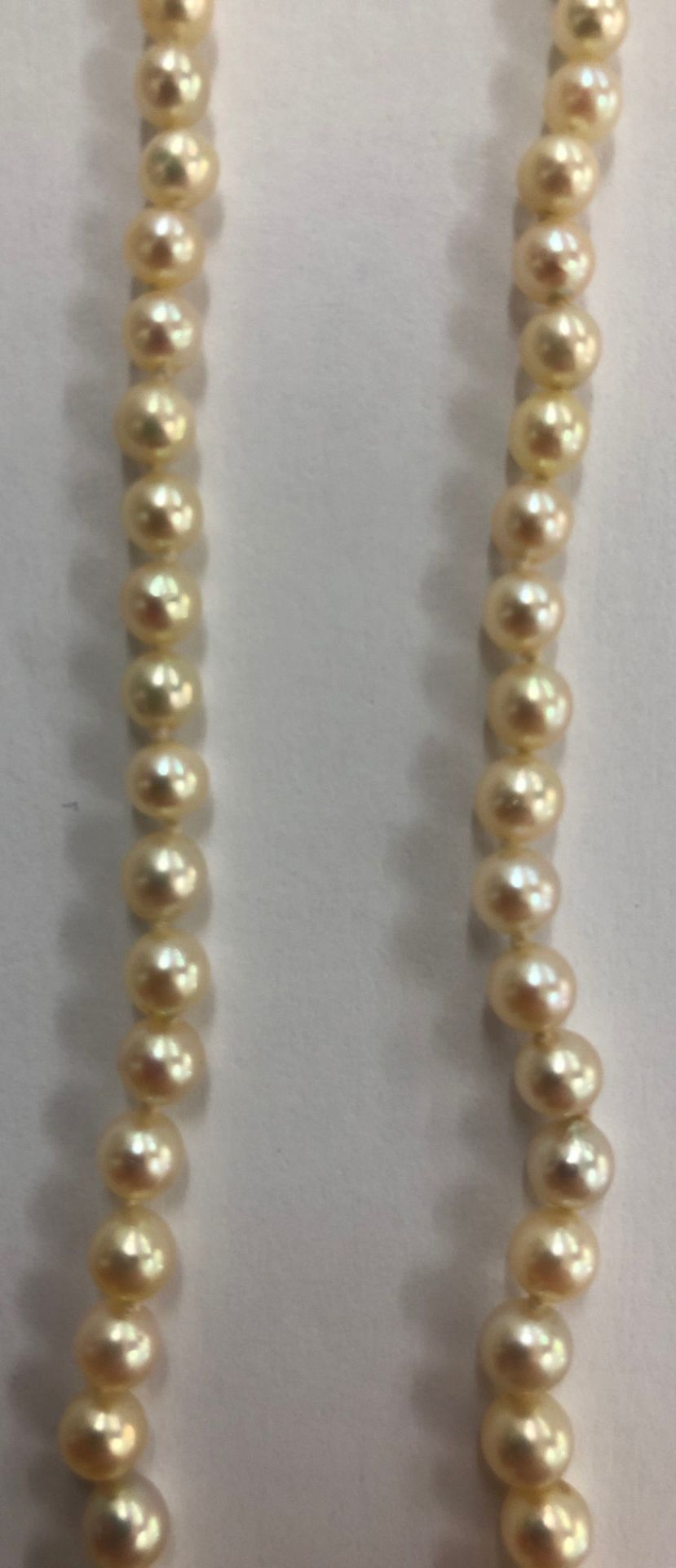 A cultured pearl single row necklace, the 101 beads graduated from 7.2mm to 2. - Bild 4 aus 7