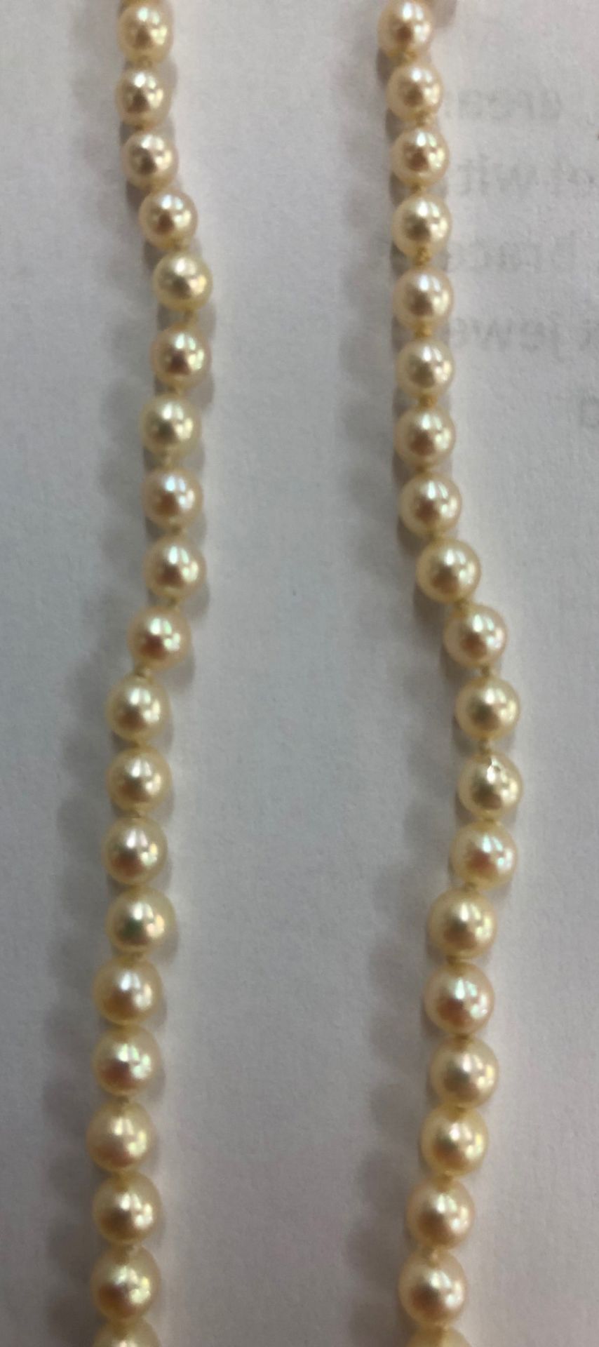 A cultured pearl single row necklace, the 101 beads graduated from 7.2mm to 2. - Bild 5 aus 7