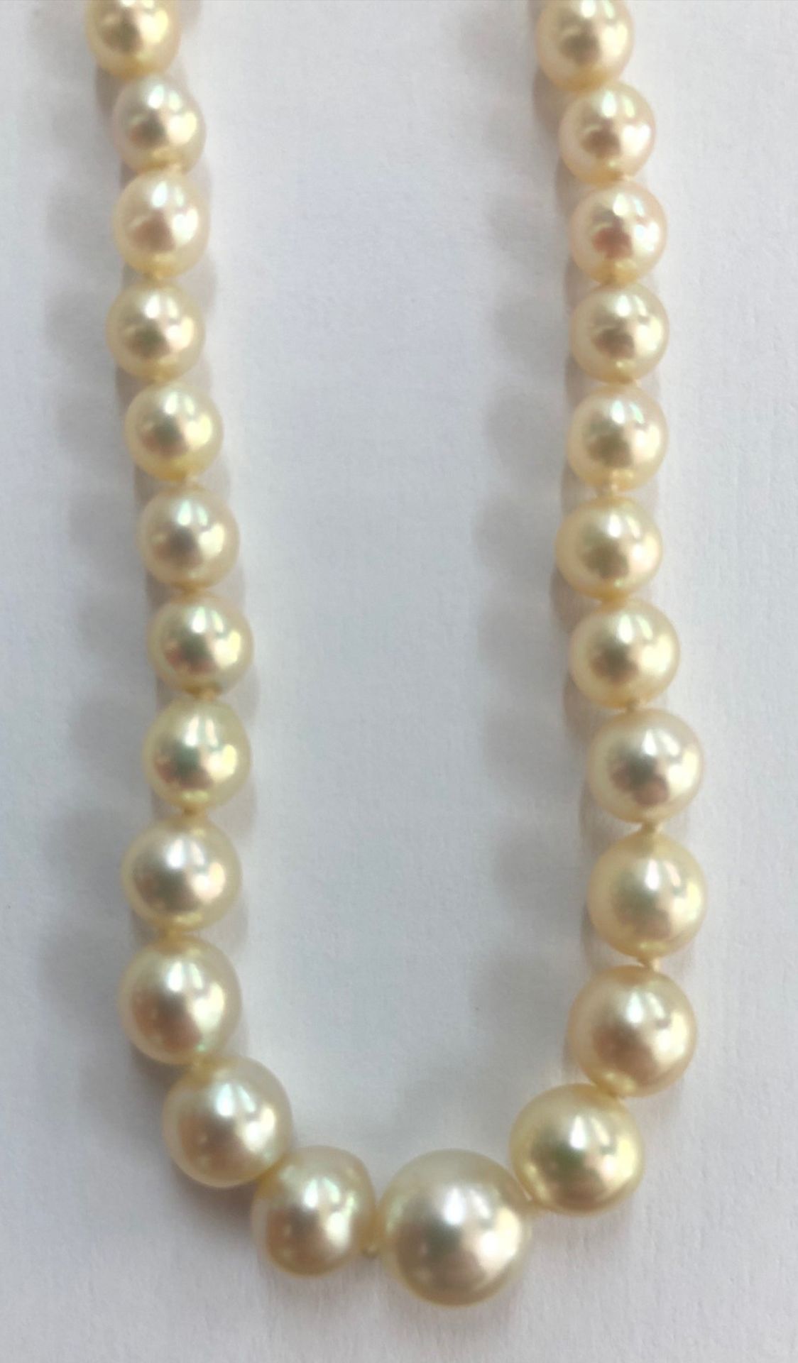 A cultured pearl single row necklace, the 101 beads graduated from 7.2mm to 2. - Bild 2 aus 7