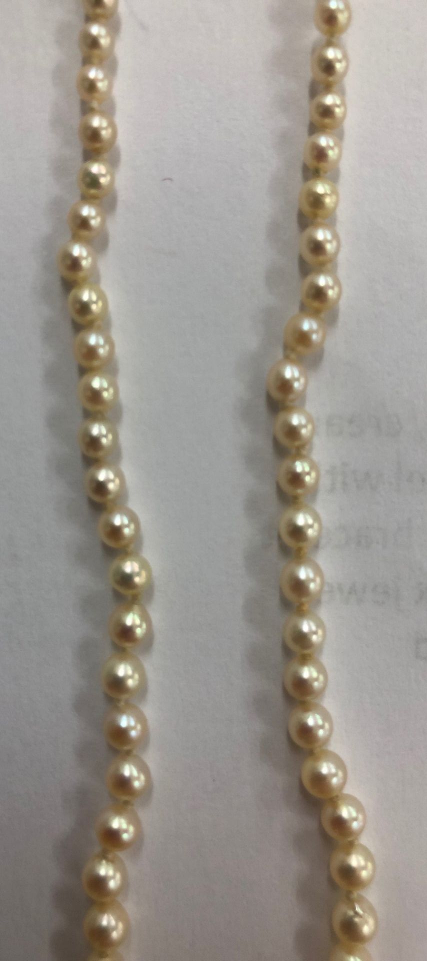 A cultured pearl single row necklace, the 101 beads graduated from 7.2mm to 2. - Bild 6 aus 7