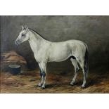 Robert Morley (British, 1857-1941), Beryl, a grey mare,