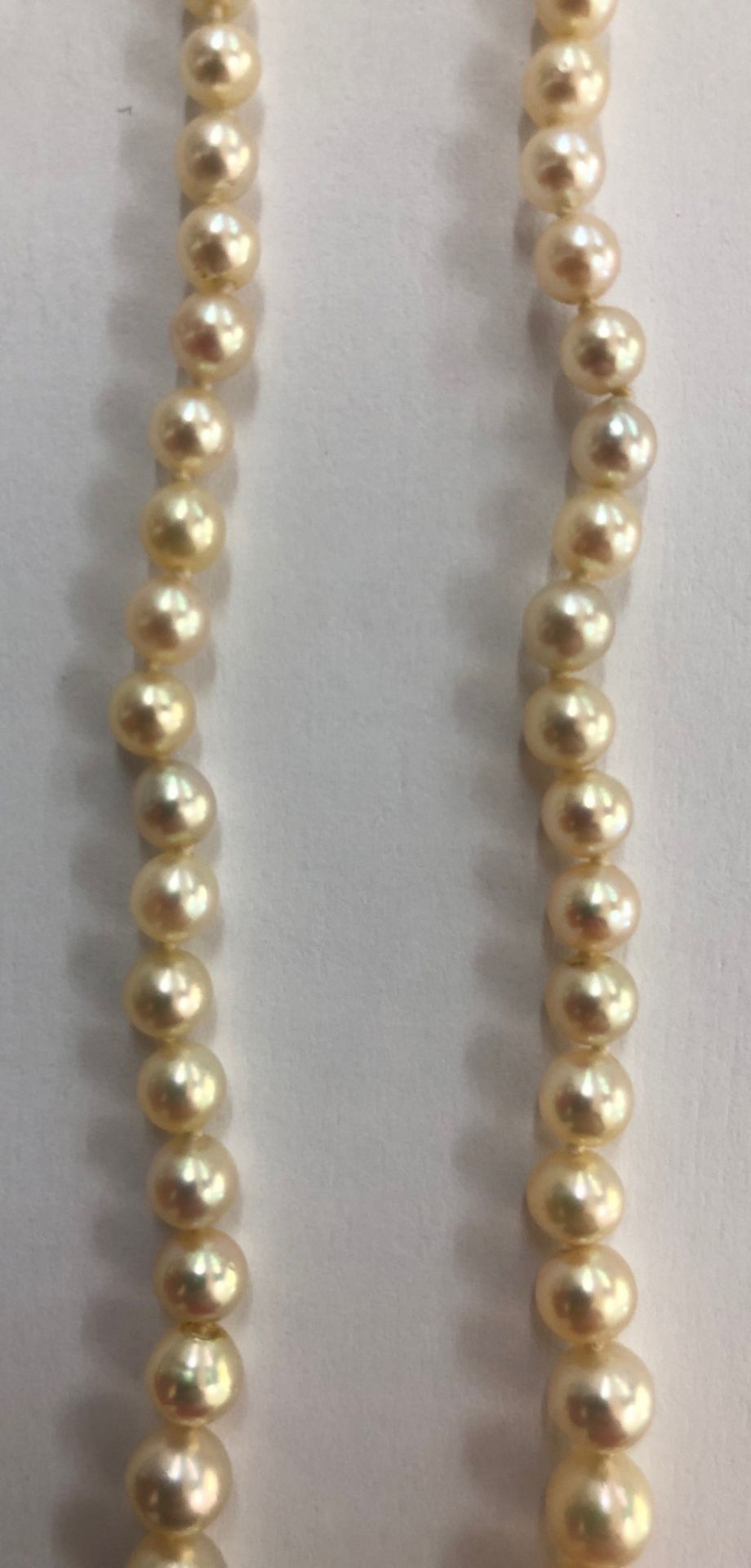 A cultured pearl single row necklace, the 101 beads graduated from 7.2mm to 2. - Bild 3 aus 7