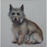 John Skeaping (1901-1980), Study of 'Mister', a Cairn terrier, pastel, signed and dated '61,