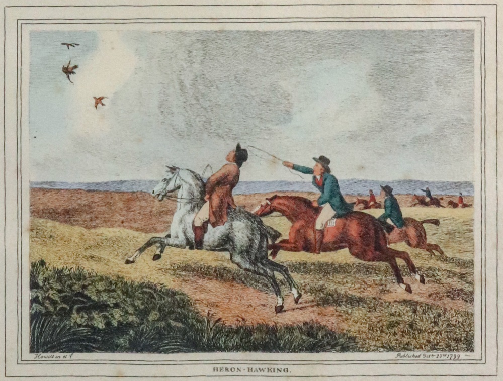 A set of four colour engravings; Heron Hawking, Pheasant Hawking,