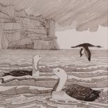 Huw Morgan (British, 20th Century), Birds on the Faroe Islands, bears label verso, pen and ink,