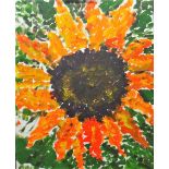 British School (contemporary), Sunflower, oil on canvas, unframed, 76cm x 61cm.