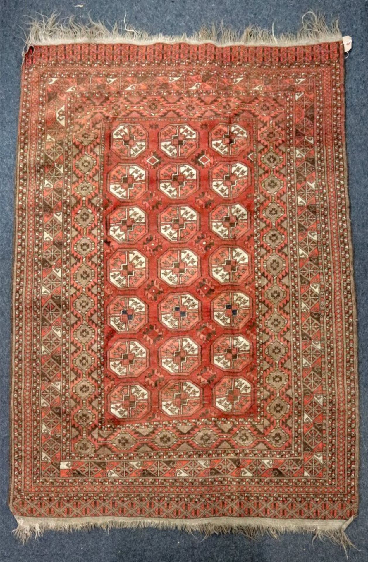 A Bokhara rug, with three rows of seven gulls, on a rust ground, 169 x 125cm.