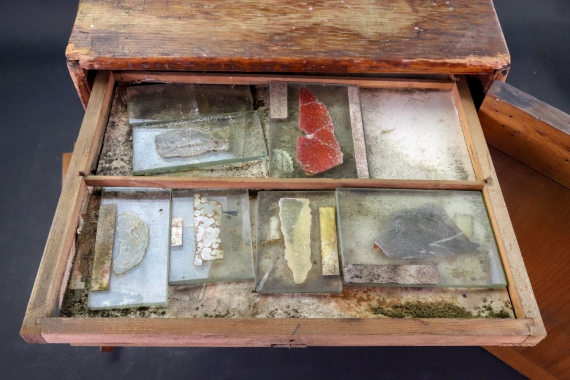 A late Victorian stained pine microscope slide cabinet, - Image 3 of 3