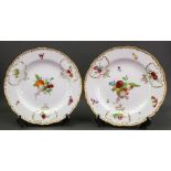 A pair of Meissen porcelain plates, circa 1760-70,