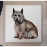 John Skeaping (1901-1980), Study of 'Mister', a Cairn terrier, pastel, signed and dated '61,