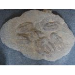A large Drotops trilobite plaque, Morocco, 90cm.