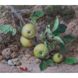 John Sherrin (1819-1896), Still life of an apple bough on a mossy bank, watercolour, signed,